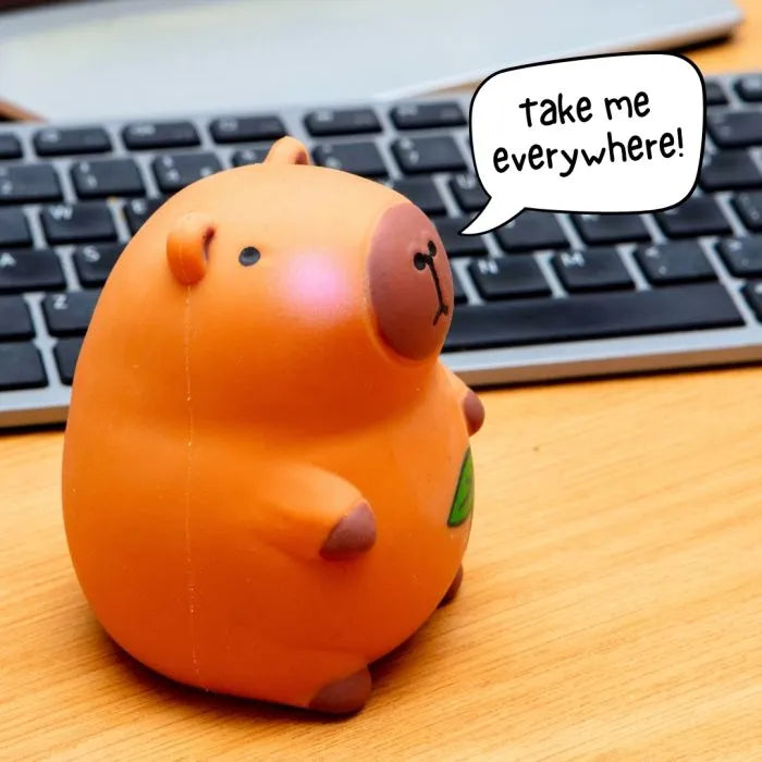 Don't worry be capy - Capybara Stress Toy