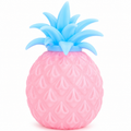 Squidgy Pineapple