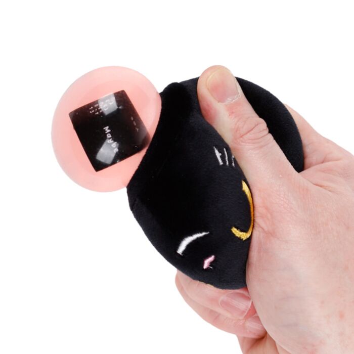 Magic Fortune Teller - Lucky the Black Cat