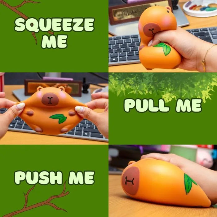 Don't worry be capy - Capybara Stress Toy